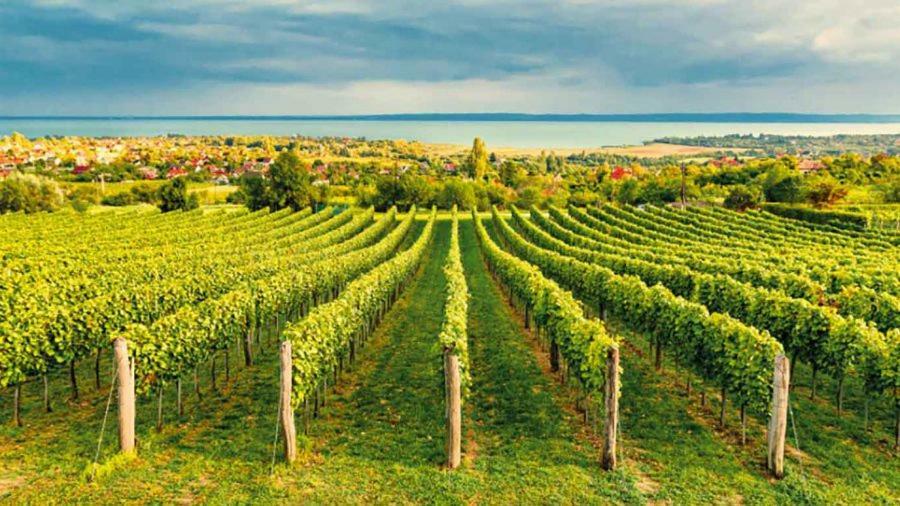 Silver DeLux Apartman Balatonfüred Exteriör bild